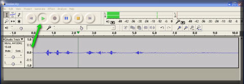 Click on the green "Play" button to listen to the audio you just created.