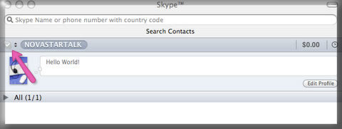 Now you can see your status has been changed to Invisible (people on line cannot see that you are on Skype). 