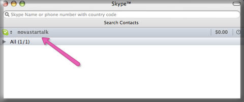 You can see your skype name. 