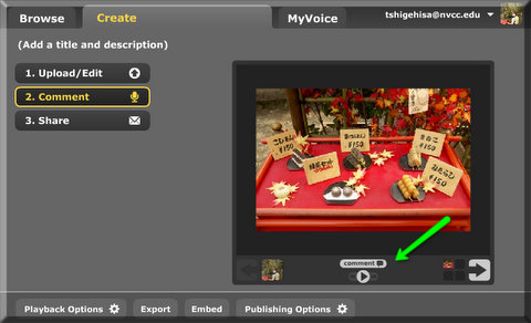 You should see a larger image window now. 