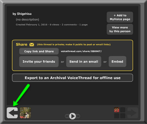 Click this arrow button to go back to your project when this window opens.