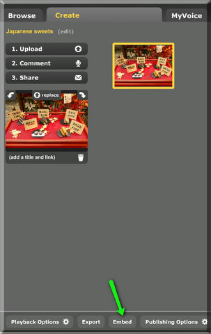 Click "Embed" to share your "Voice Thread". 
