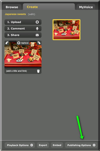 To control who can view and/or comment, click Publishing Options. 