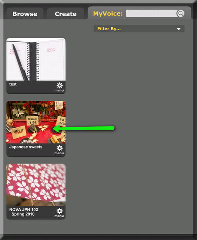 Now you should be able to see your project.  