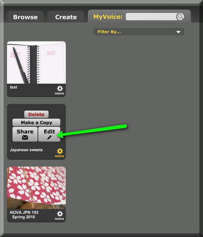 Click Edit to modify your project.  