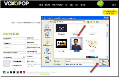 Click the image you would like to use and "Open".