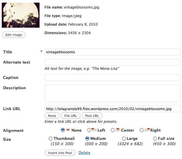 Title and Caption for Images