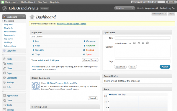 Dashboard in WordPress